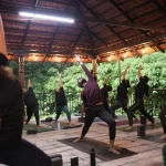 Online yoga vs offline yoga which is better