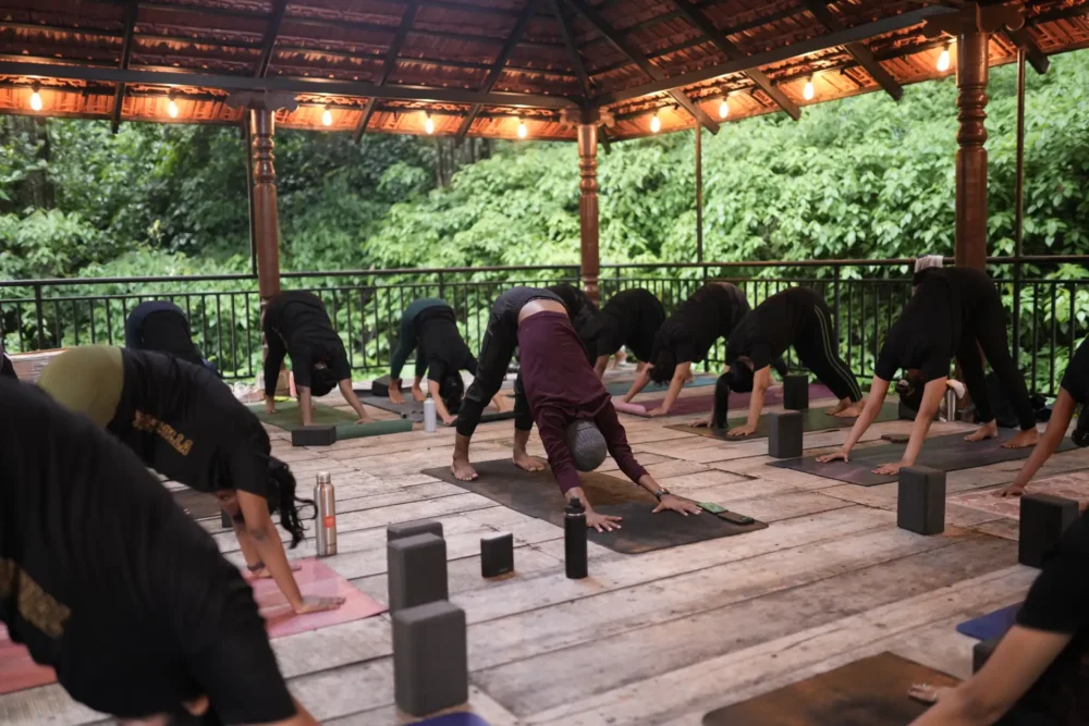 The Science Behind Advanced Yoga Postures